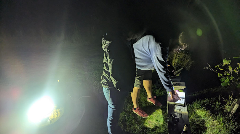 Moth Trapping