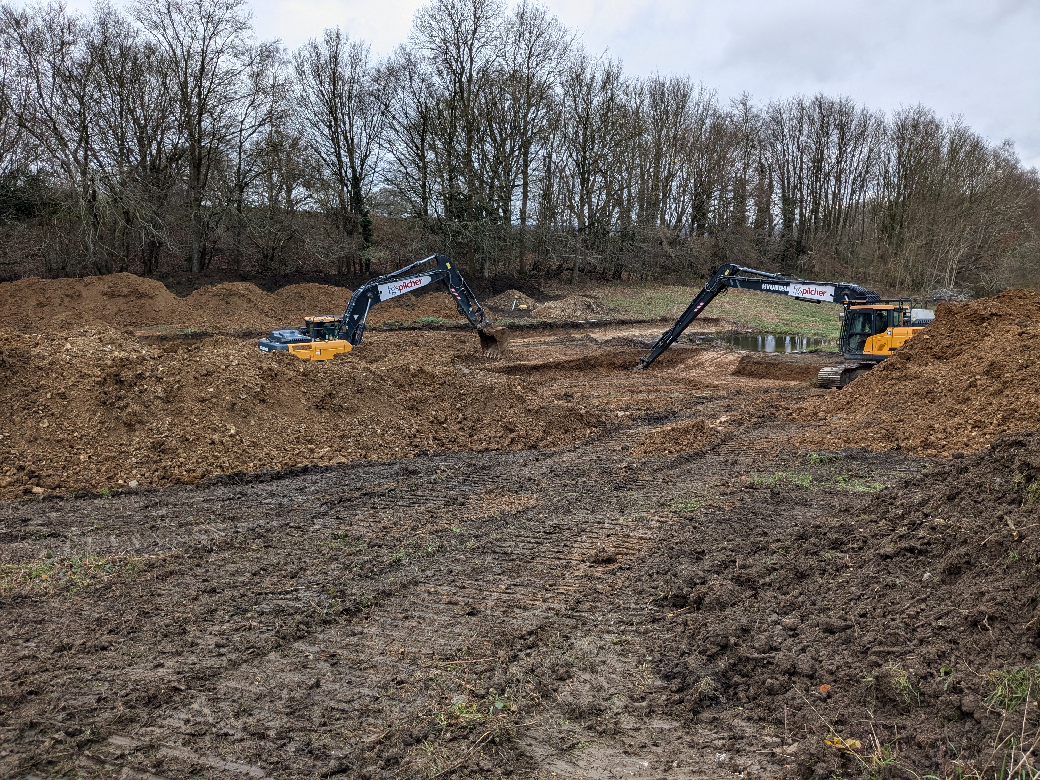 Building the wetlands