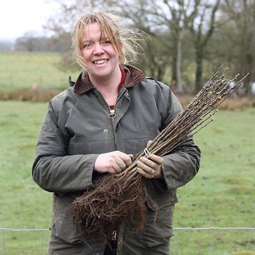 Picture of the Rebel Farmer