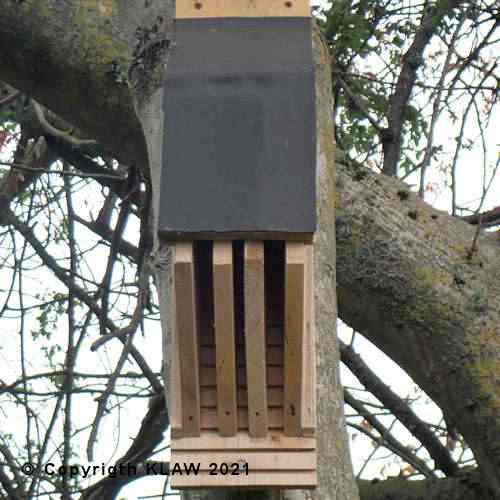 Bat box