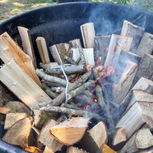 fig 002 wood stock sample top burn