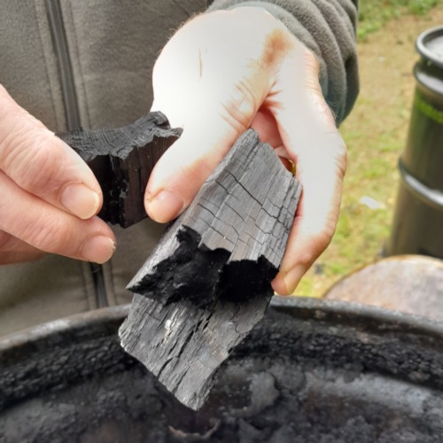 fig 004 sample of biochar