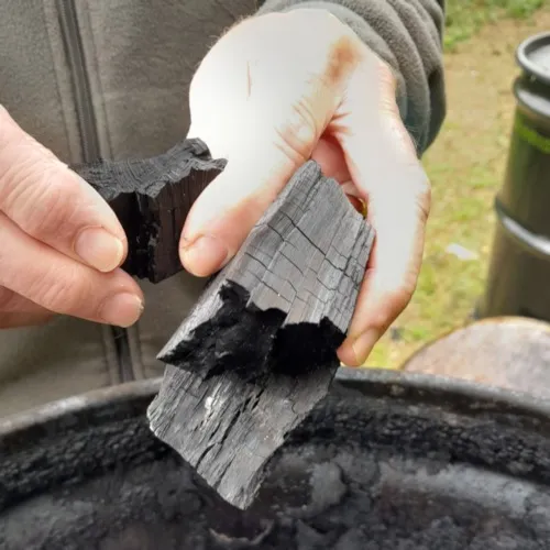 fig 004 sample of biochar