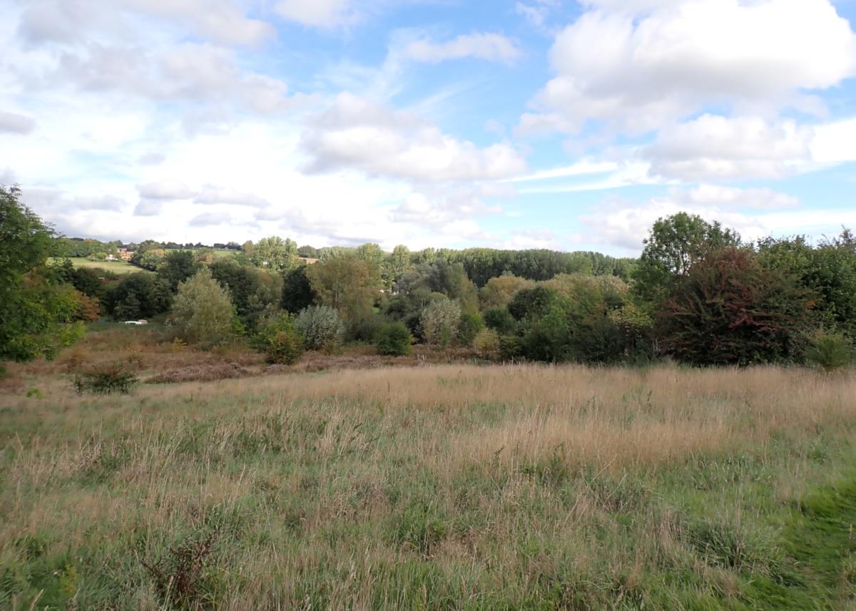Bow Meadow wildlife area