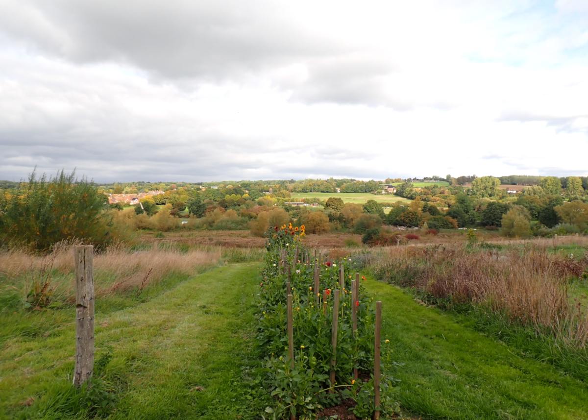 Bow Meadow wildlife area