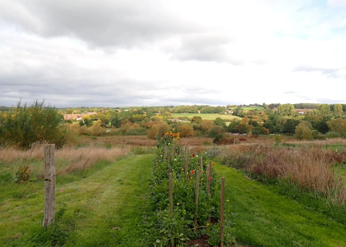 Bow Meadow wildlife area