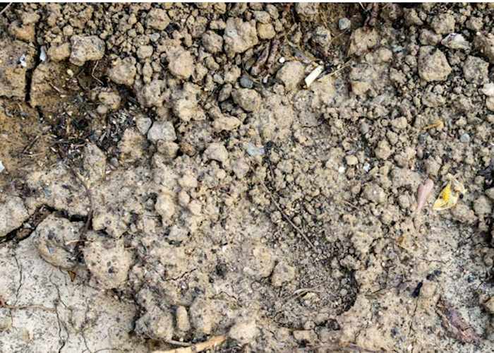 Chalky soil