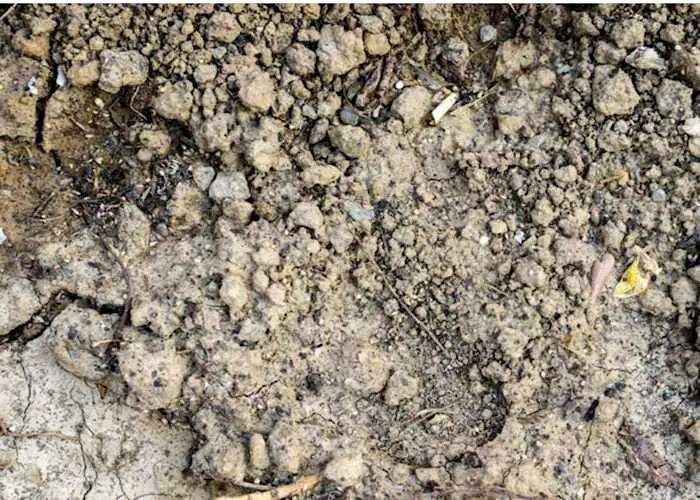 Chalky soil