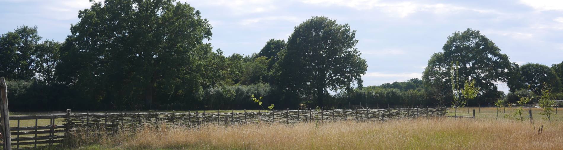 View of Claringbolds