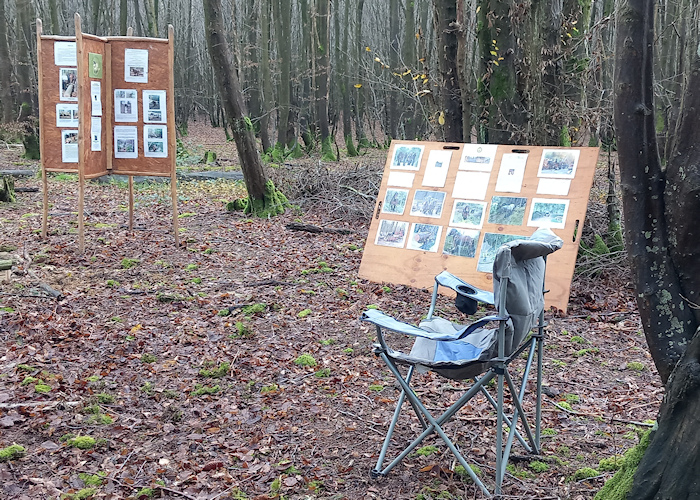 Frankie Harnessing Toby