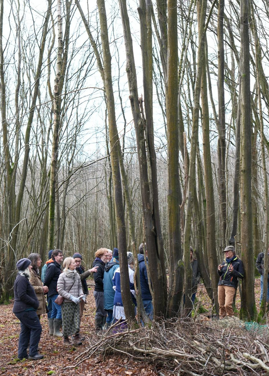 Frankie with Toby explaining