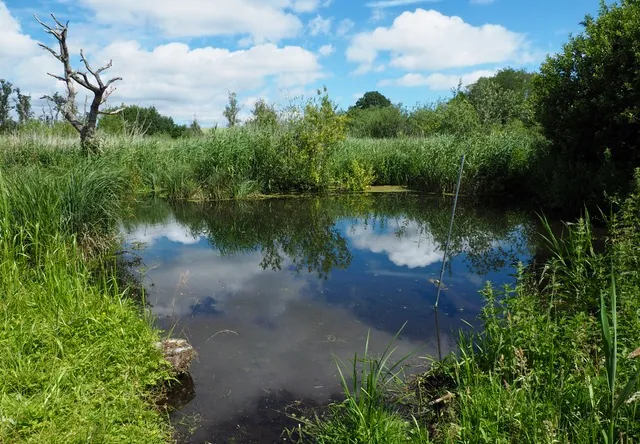 The pool behind the dam