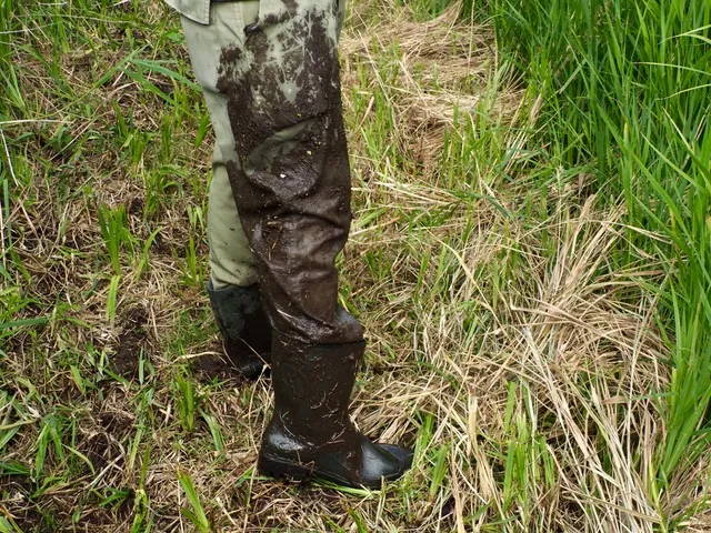 A muddy leg