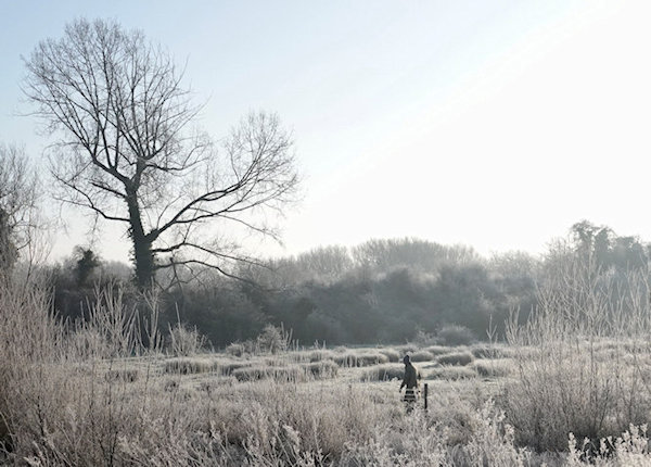 Hambrook Marshes event