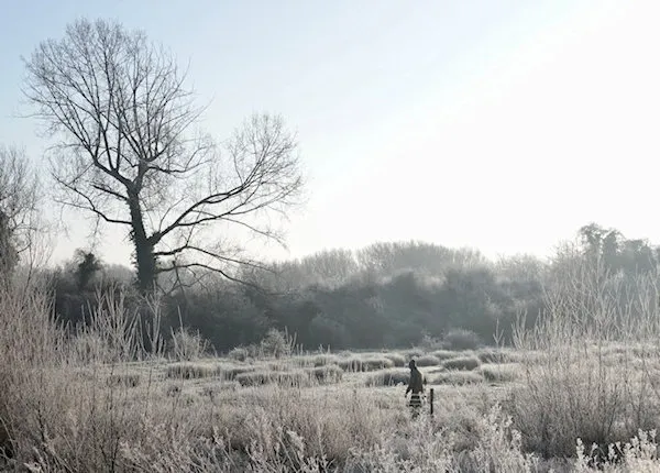 Hambrook Marshes event