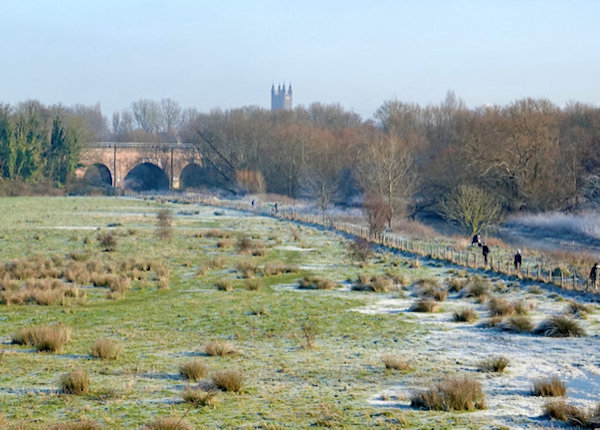 Hambrook Marshes event
