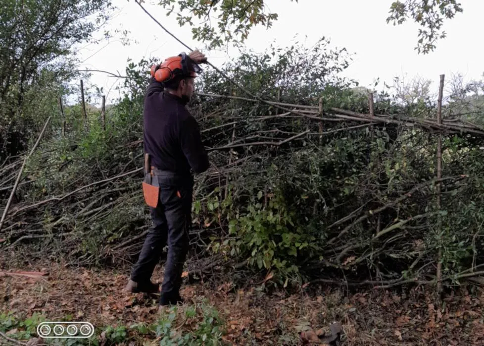 Rob demonstrating