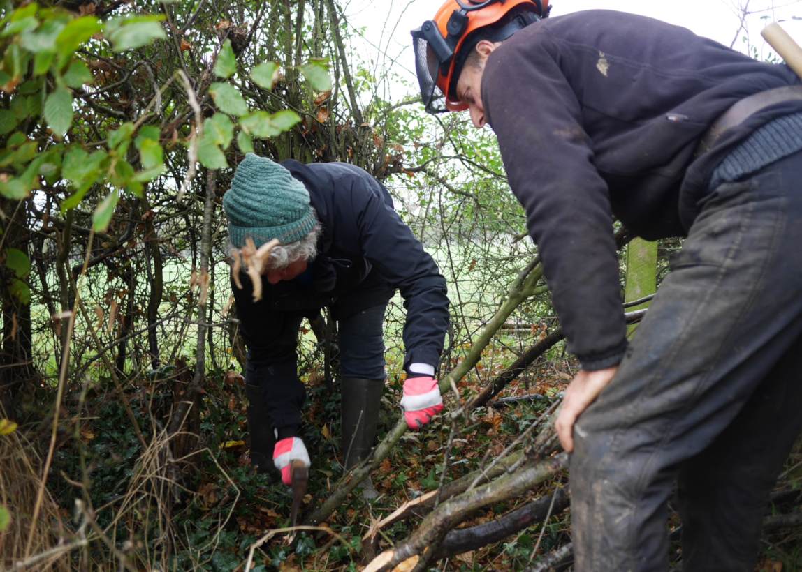 Hedge laying workshop