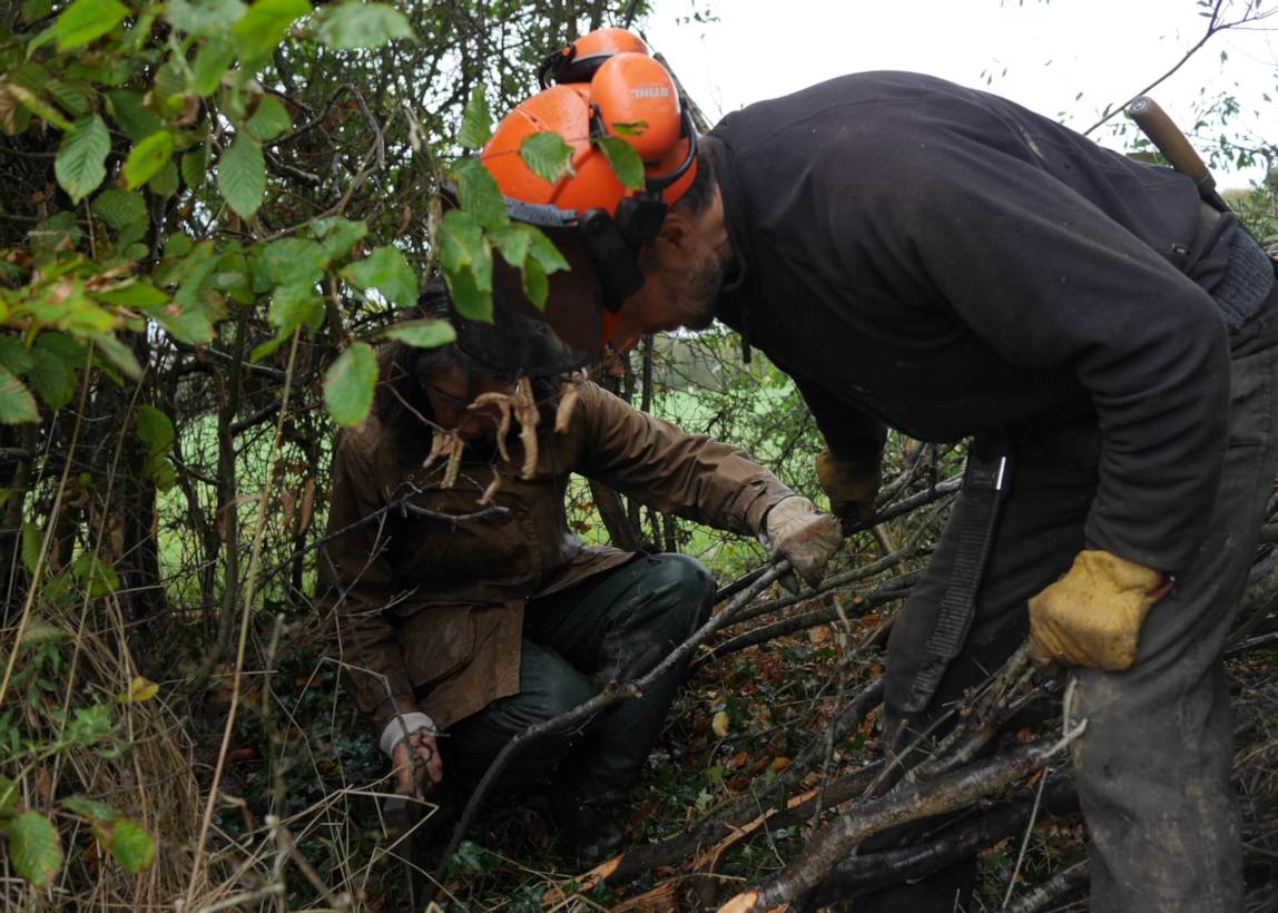 Hedge laying workshop