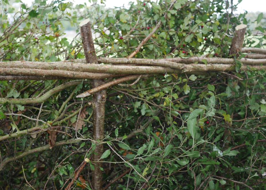 Hedge laying workshop