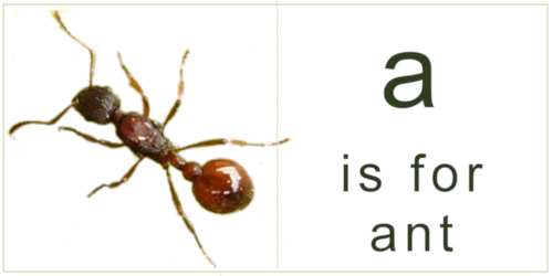 letter_a