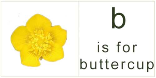 letter_b