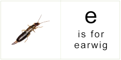 letter_e