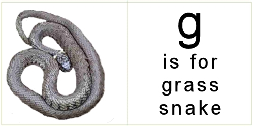 letter_g