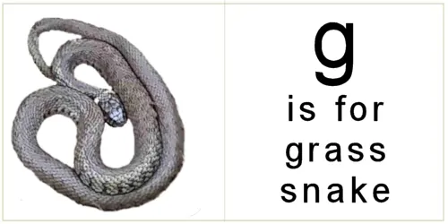letter_g