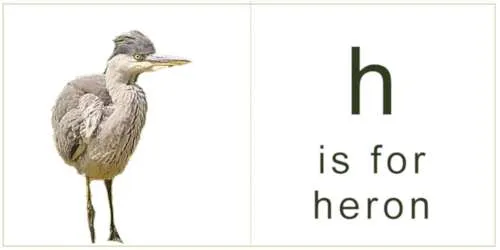 letter_h