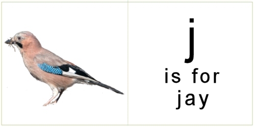 letter_j