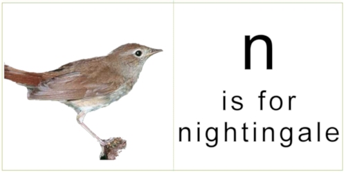 letter_n