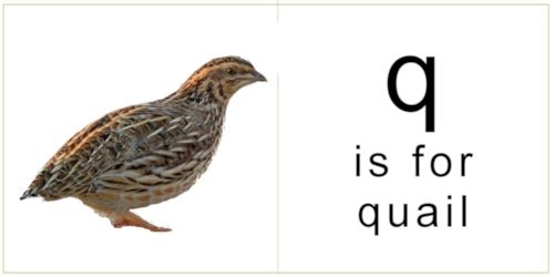 letter_q