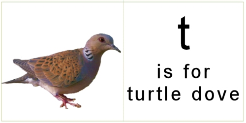 letter_t