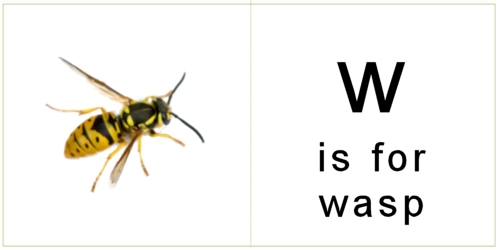 letter_w