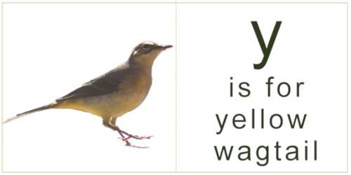 letter_y