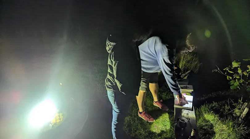 Moth Trapping