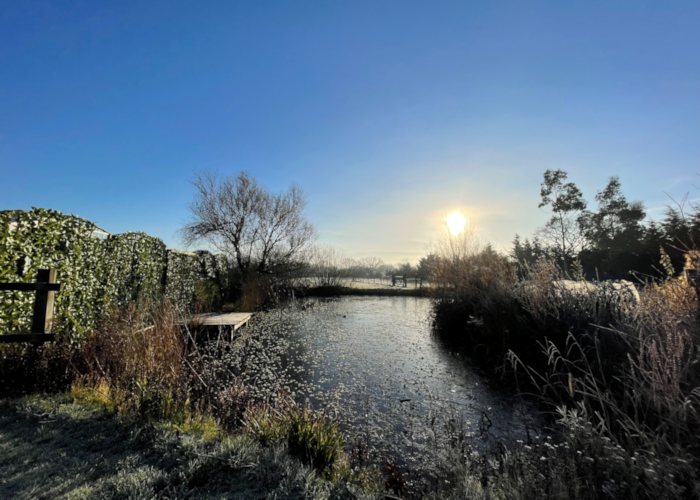 Nimrod Pond