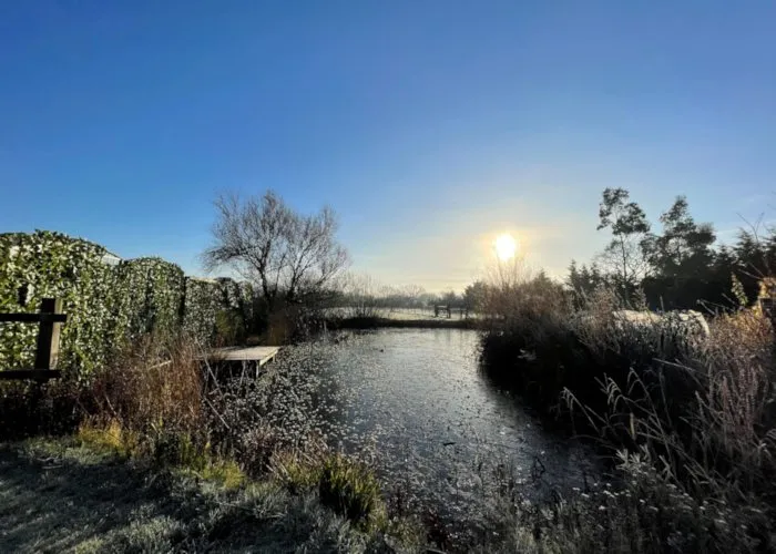 Nimrod Pond