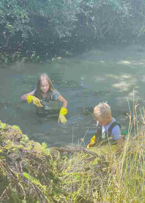 Clearing A Pond