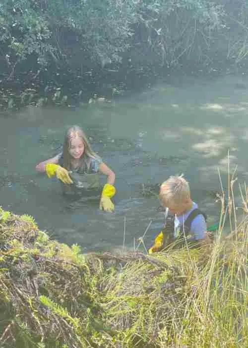 Clearing A Pond