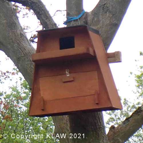 Owl Box