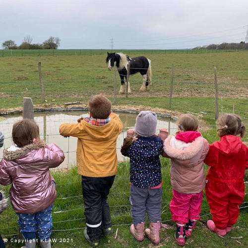 pond watching children