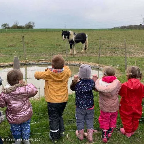 pond watching children