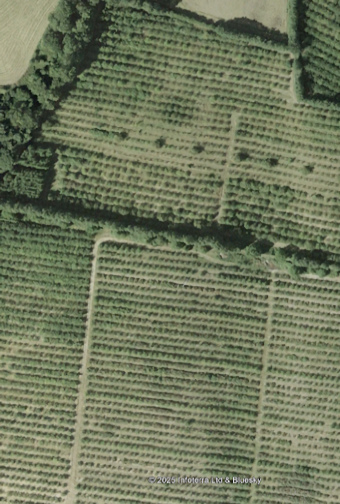 View of land before ponds and wetlands