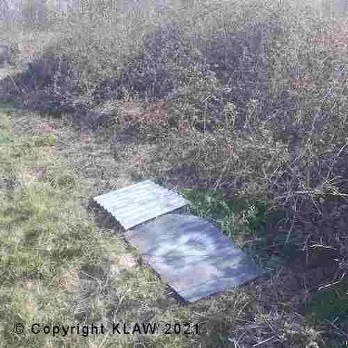 An example of refugia